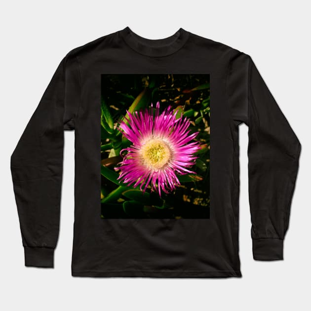 colourful Hot pink flower Long Sleeve T-Shirt by stevepaint